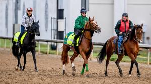 Mandarin Hero Derma Sotogake Mike Crowder Kentucky Derby Churchill Downs